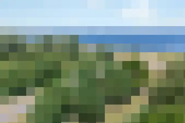 Breezand 20 Zeewolde thumbnail 50