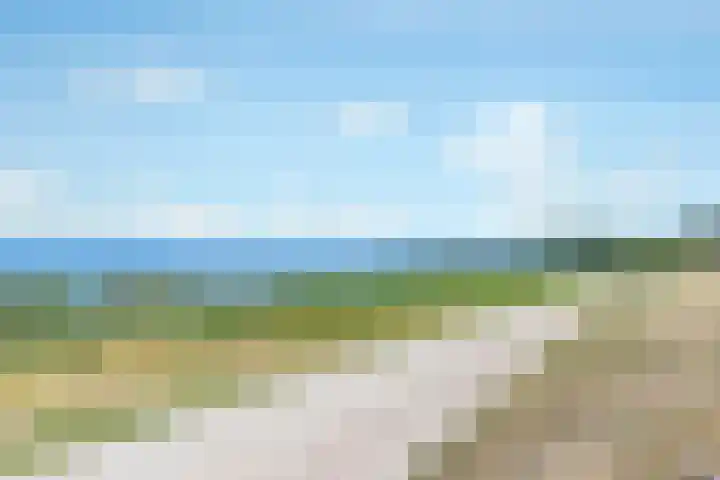 Breezand 20 Zeewolde thumbnail 54