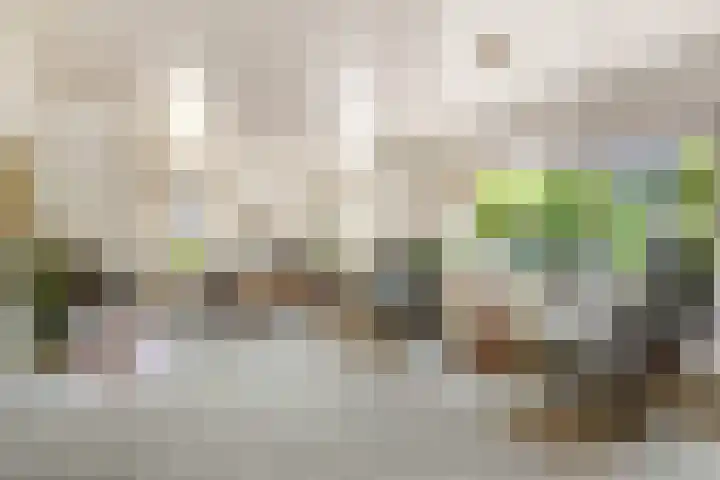 Breezand 20 Zeewolde thumbnail 8
