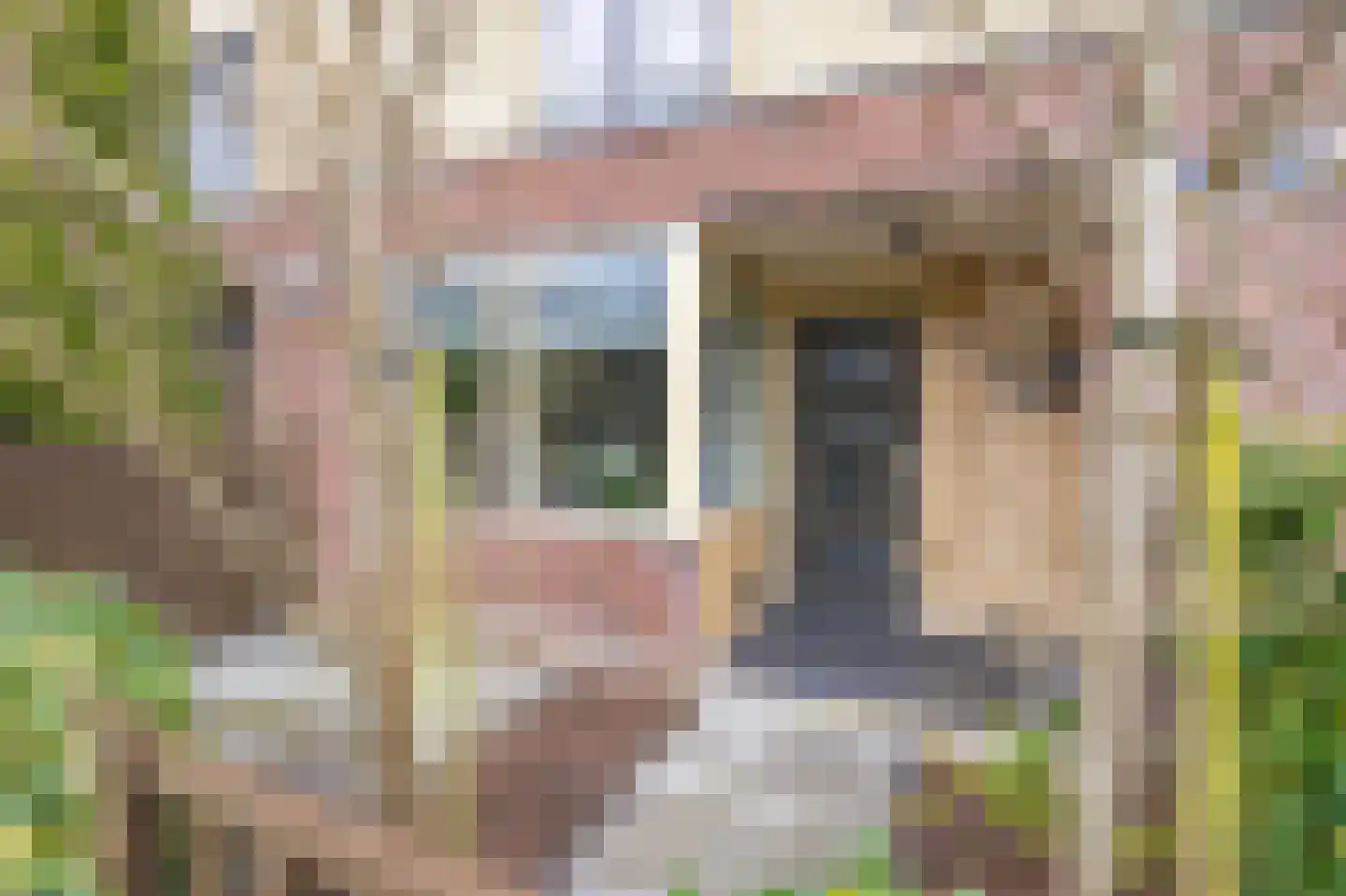 Breitnerhof 40 Hoorn thumbnail 6