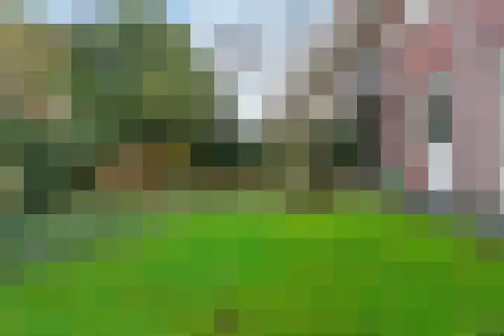 Breitnerlaan 40 Den Haag thumbnail 20