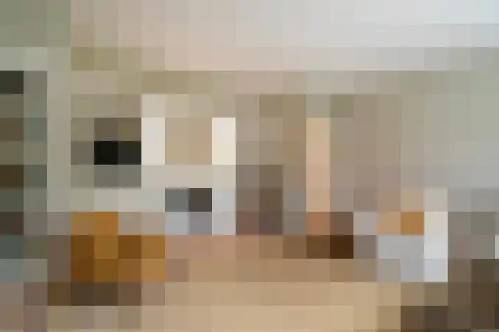 Breitnerlaan 48 Den Haag thumbnail 7
