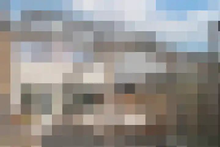 Breitnerlaan 8 Woudenberg thumbnail 4