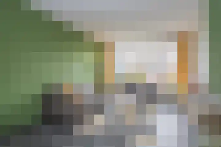Breitnerlaan 8 Woudenberg thumbnail 8