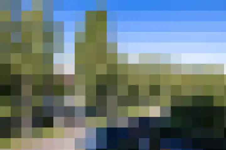 Breitnersingel 55 Rotterdam thumbnail 26