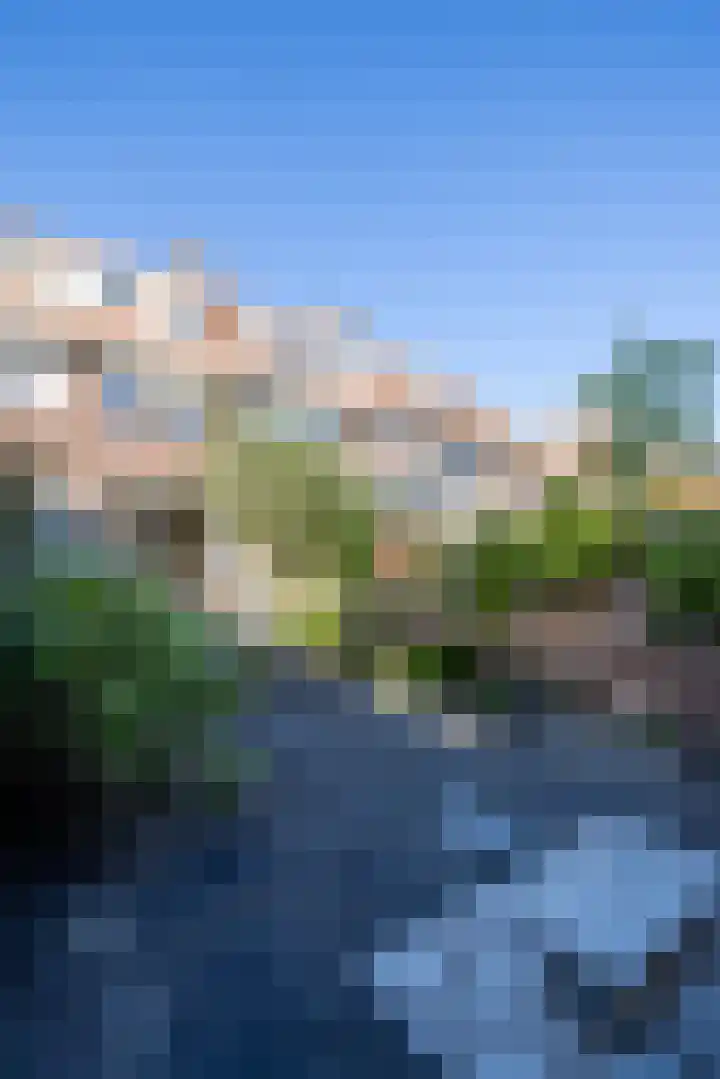 Breitnersingel 55 Rotterdam thumbnail 47