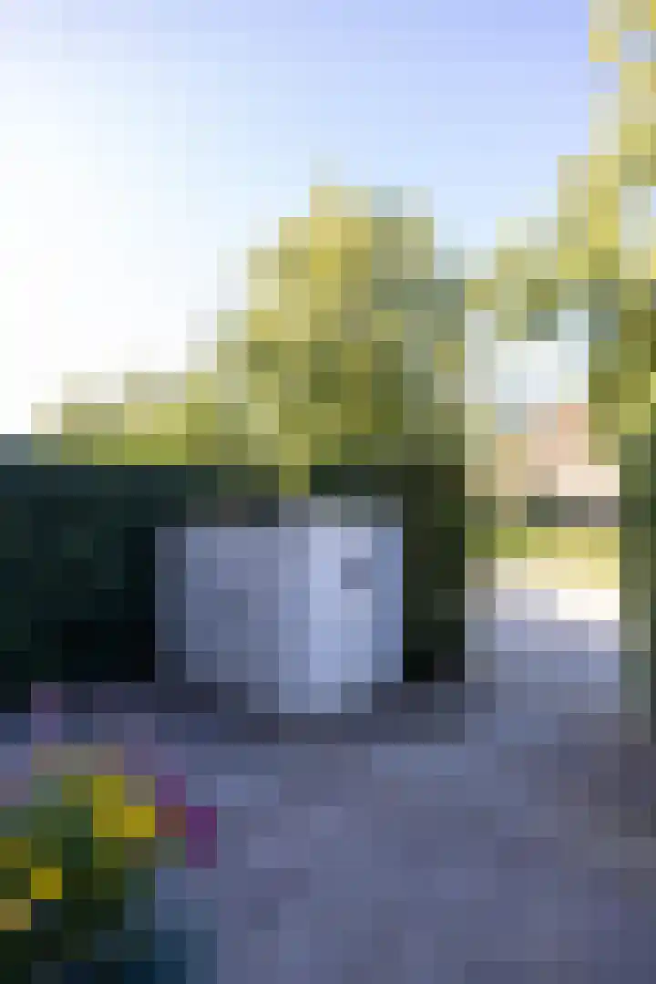 Breitnersingel 55 Rotterdam thumbnail 49