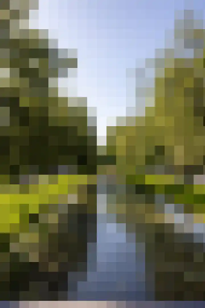 Breitnersingel 55 Rotterdam thumbnail 50