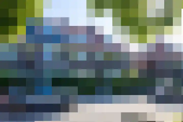 Breitnersingel 55 Rotterdam thumbnail 6