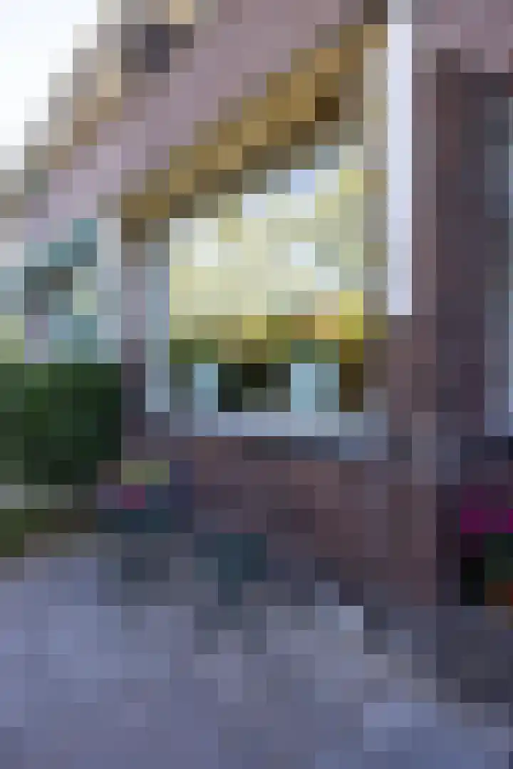 Breitnersingel 55 Rotterdam thumbnail 7