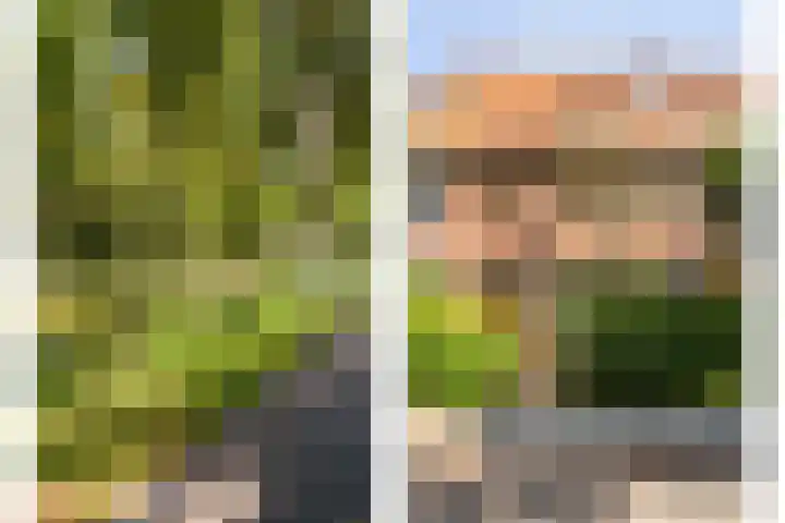 Breitnersingel 9 Rotterdam thumbnail 4
