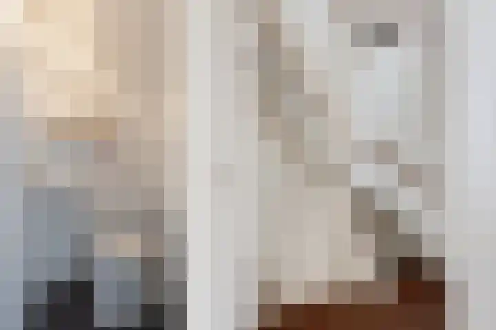 Breitnerstraat 18 Bleiswijk thumbnail 18