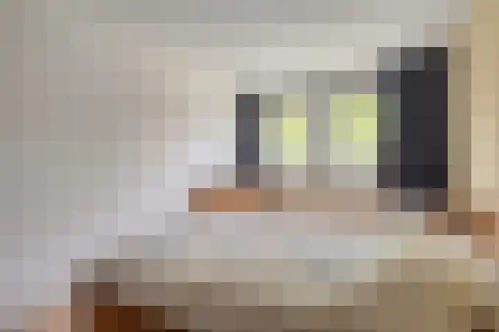 Breitnerstraat 32 Goes thumbnail 17
