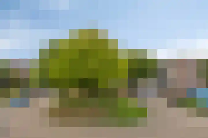 Breitnerstraat 32 Goes thumbnail 29
