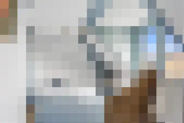 Breksdyk 12 Oudega thumbnail 31