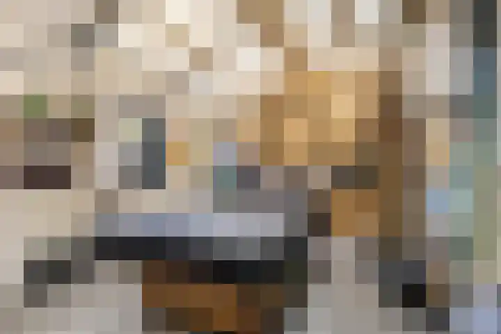 Breksdyk 12 Oudega thumbnail 38