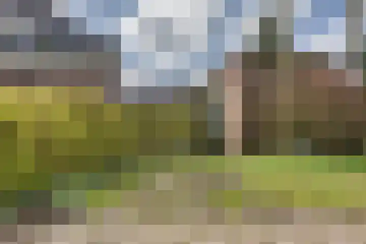 Breksdyk 12 Oudega thumbnail 46