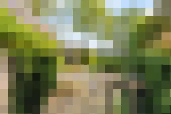 Breloftpark 18 Noordwijk thumbnail 17