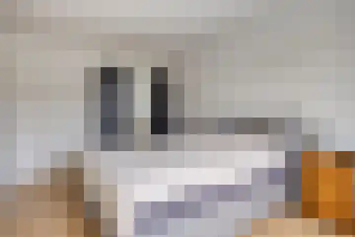 Brem 14 Cuijk thumbnail 13