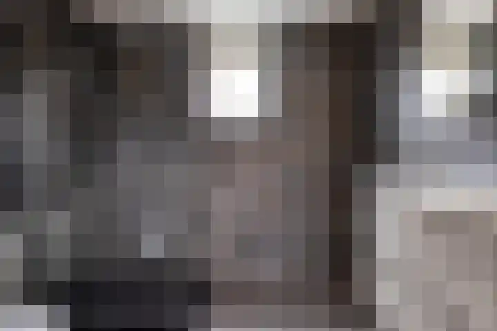 Brem 14 Cuijk thumbnail 14