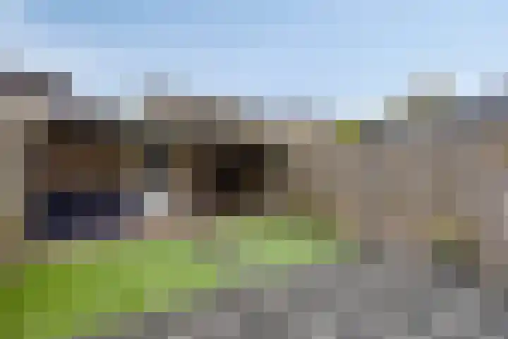 Brem 14 Cuijk foto 2