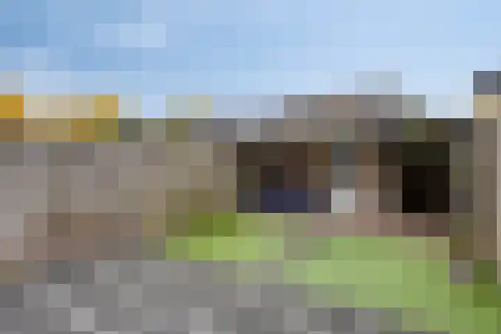 Brem 14 Cuijk thumbnail 20
