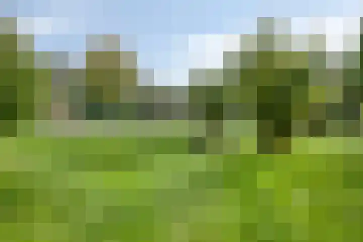 Brem 14 Cuijk thumbnail 22