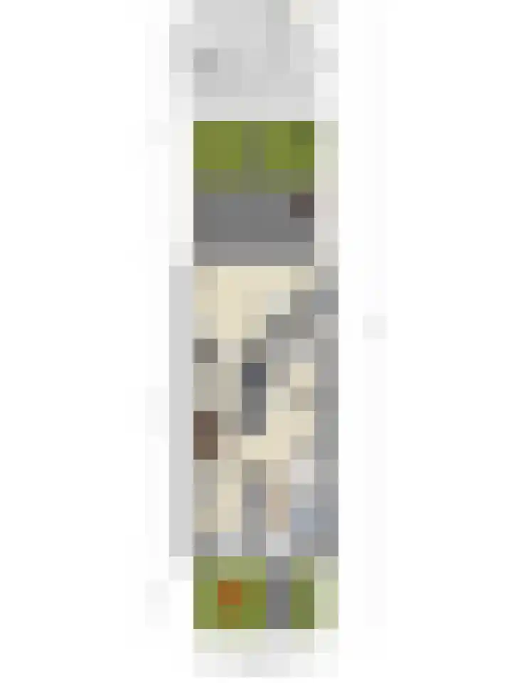 Brem 14 Cuijk thumbnail 24