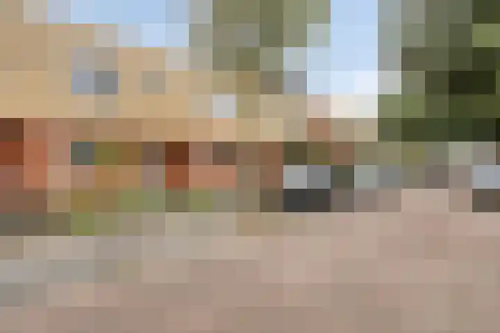 Brem 14 Cuijk thumbnail 4