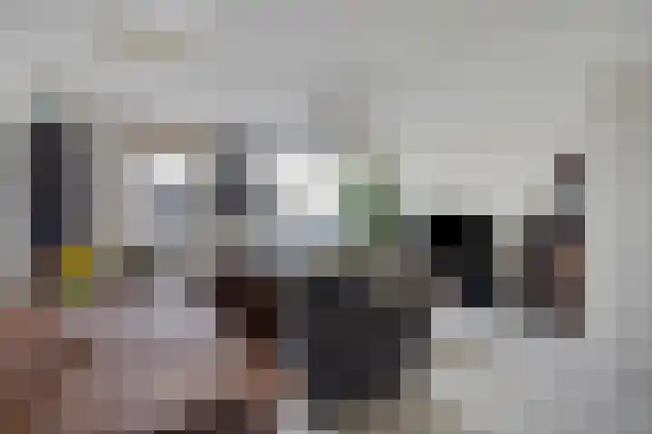 Brem 14 Cuijk thumbnail 6