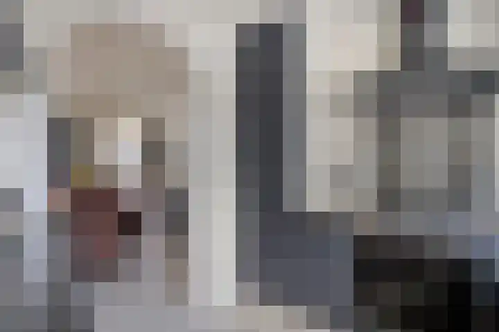 Brem 14 Cuijk thumbnail 8