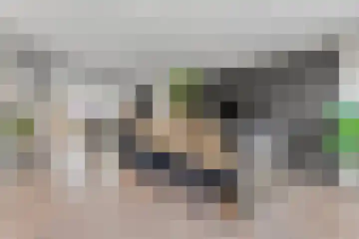 Brem 2 Coevorden thumbnail 13