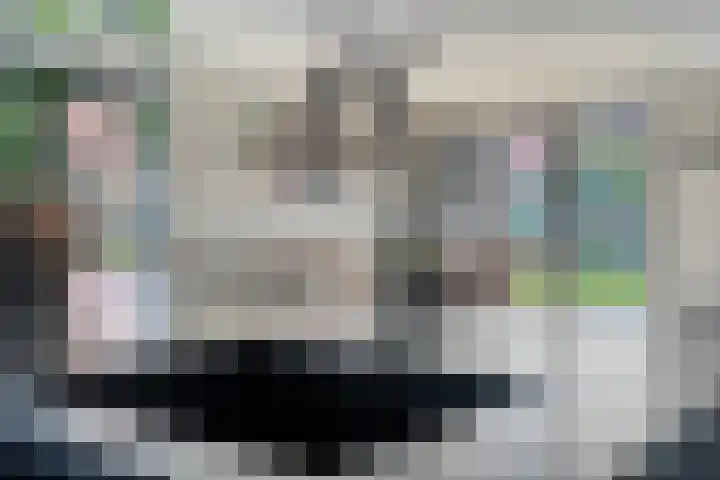 Brem 2 Coevorden thumbnail 16