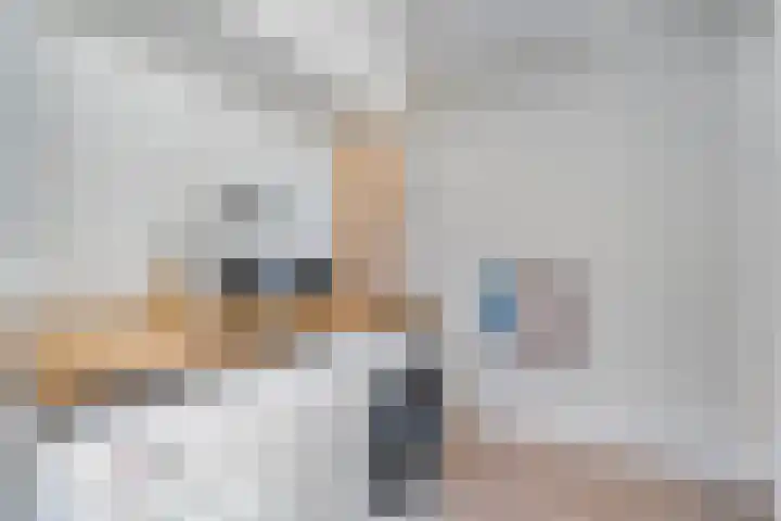 Brem 2 Coevorden thumbnail 18
