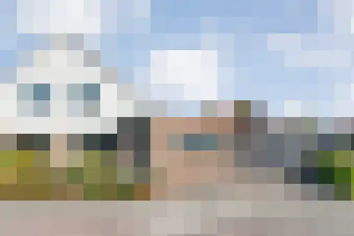 Brem 2 Coevorden foto 2