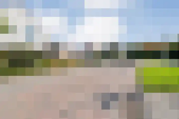 Brem 2 Coevorden foto 3