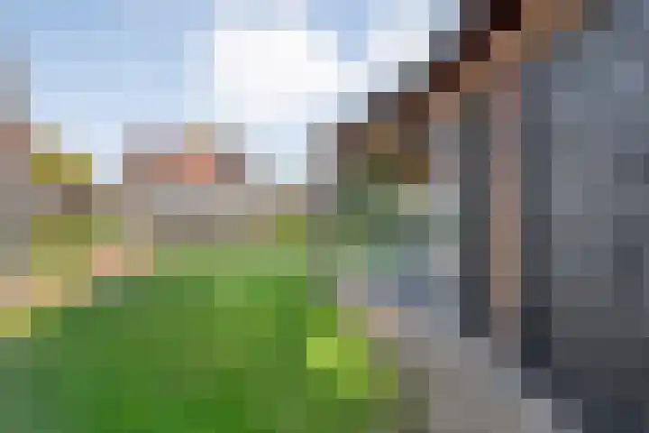 Brem 2 Coevorden thumbnail 30