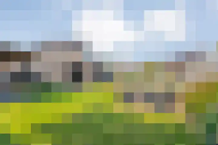 Brem 2 Coevorden thumbnail 31