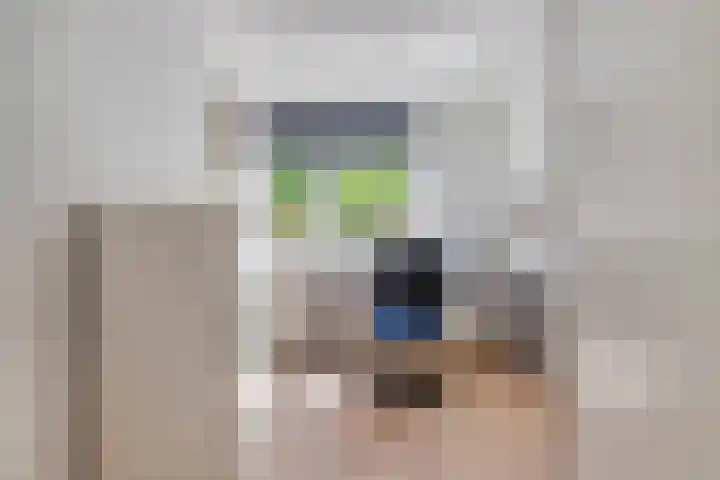Brem 2 Coevorden thumbnail 33