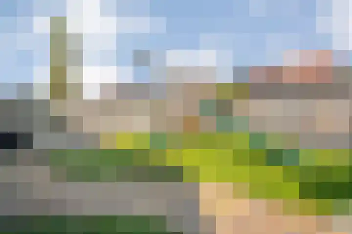 Brem 2 Coevorden thumbnail 33