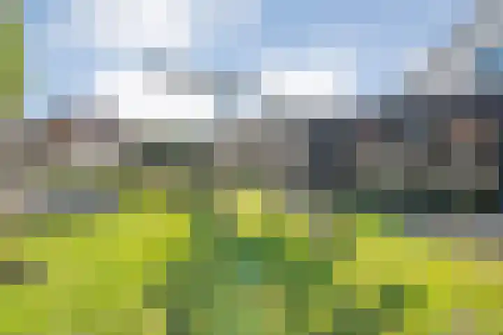 Brem 2 Coevorden thumbnail 34