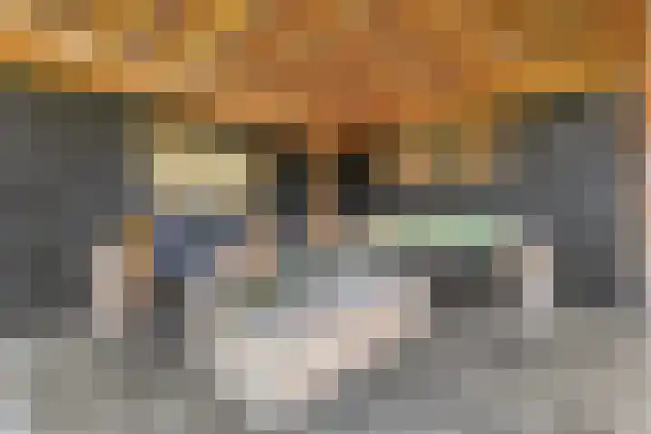 Brem 2 Coevorden thumbnail 37