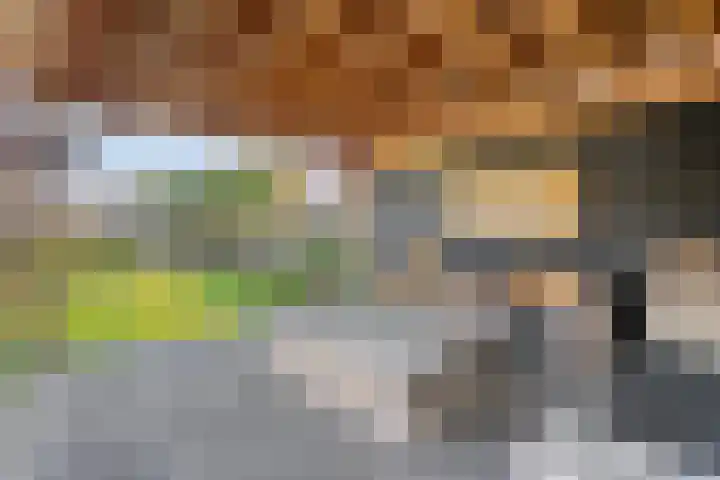 Brem 2 Coevorden thumbnail 38