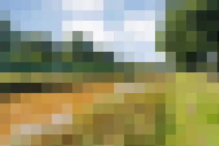 Brem 2 Coevorden thumbnail 40