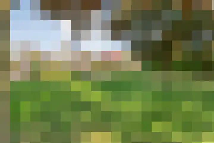 Brem 2 Coevorden thumbnail 41