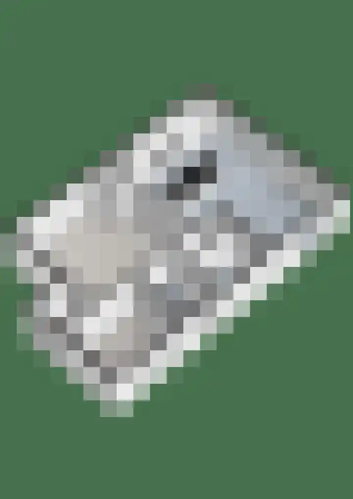 Brem 2 Coevorden thumbnail 43