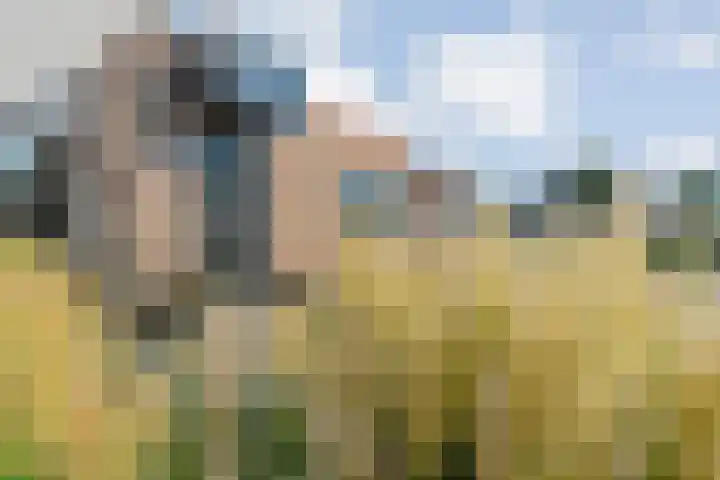 Brem 2 Coevorden thumbnail 5