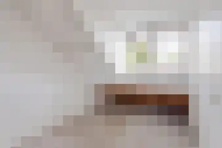 Brem 46 Oldenzaal thumbnail 13