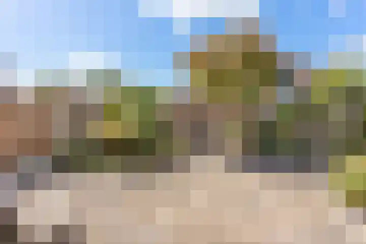Brem 46 Oldenzaal thumbnail 16