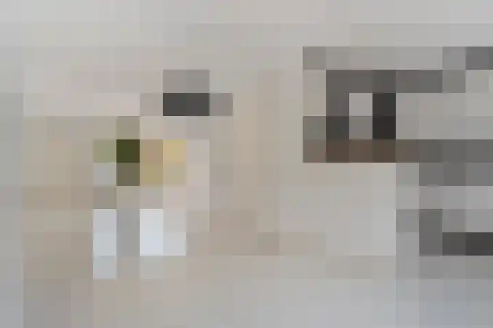Brem 6 Coevorden thumbnail 12